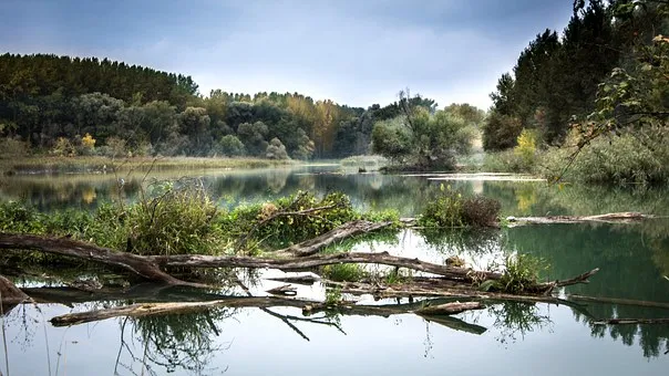 Rubrik_Naturschutz_-_Donau_pixabayriver-977476__340